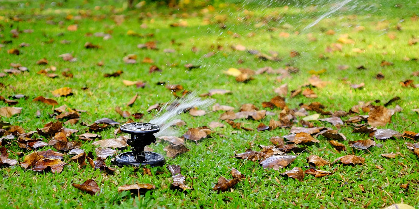 A lawn sprinkler sprays water over green grass scattered with brown fallen leaves.