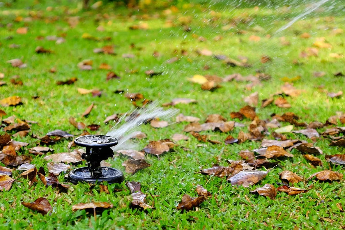 A lawn sprinkler sprays water over green grass scattered with brown fallen leaves.